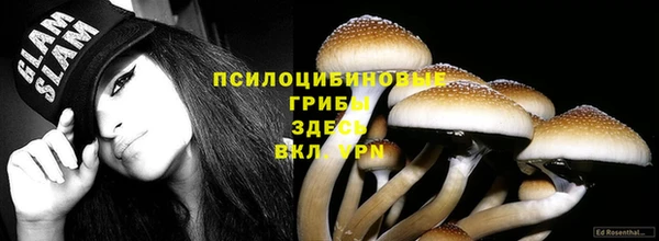 ПСИЛОЦИБИНОВЫЕ ГРИБЫ Алексин