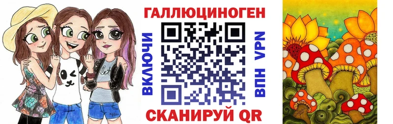 Галлюциногенные грибы Psilocybe  Цивильск 